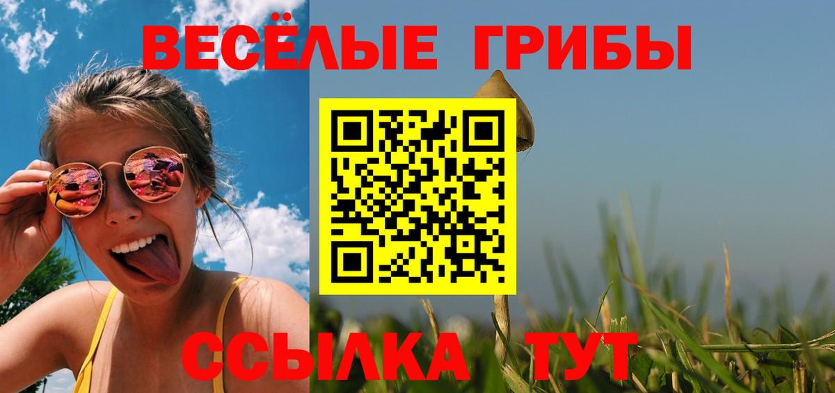 Людиново  хочу   Вход с VPN  Псилоцибиновые грибы Magic Shrooms  Галлюциногенные грибы Psilocybe 